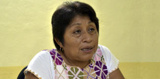 Autoridades protegen a empresas transgénicas, denuncian mayas ante comisionado de la ONU
