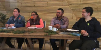 Manantiales en Resistencia “inundan” el Huerto Roma Verde