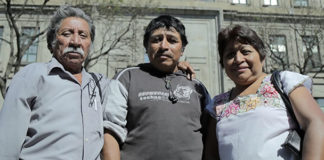 Mayas denuncian ante Suprema Corte violaciones a proceso de consulta sobre soya transgénica