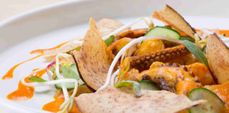 Muestra gastronómica inspirada en el desastre extractivista