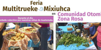 La feria Multitrueke visita a la Comunidad Otomí Zona Rosa