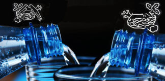 Nestlé pone en riesgo el agua potable de ciudad francesa