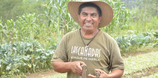 Se abre camino a Las Cañadas