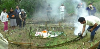 Siembran milpa de resistencia contra subestación eléctrica en Cuetzalan