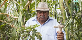 Una mirada a la Fiesta de las Culturas Indígenas desde la Trajinera del Conocimiento
