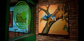 Notas al Pie de un Cooperativista