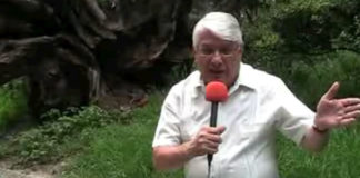 Los medios sociales no existen en la reforma en Telecomunicaciones: Virgilio Caballero