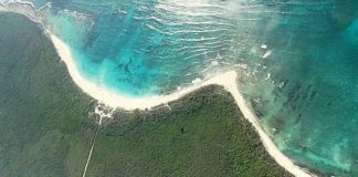 Empresa hotelera busca urbanizar playas vírgenes de Xcacel