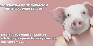 Programas de abril 2013