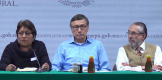 Apicultores mayas demandan prohibir fumigaciones aéreas y uso de agrotóxicos