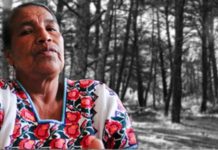 Programas de noviembre 2012