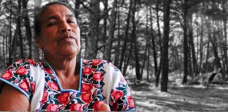 Programas de noviembre 2012