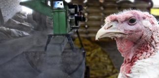 Programas de Diciembre 2010