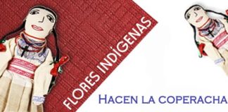 Programas de Febrero 2011