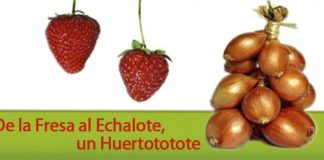 Programas de Julio 2011