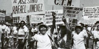 Voz de la Experiencia Cooperativa