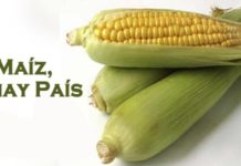 Programas de Septiembre 2010