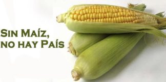 Programas de Septiembre 2010