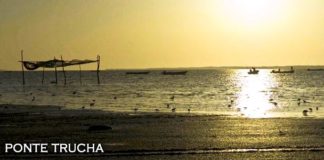 Programas de Abril 2012