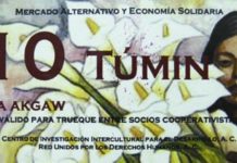 Programas de diciembre 2011