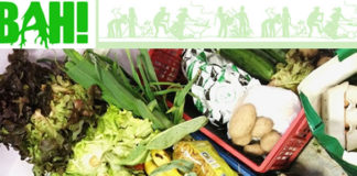 Bajo el Asfalto está la Huerta… y muchas lombrices