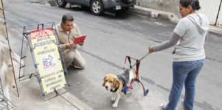 Cooperativa Car-Can, otra oportunidad para las mascotas