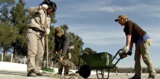 Bosques de Ezeiza, o cómo recuperar trabajo, naturaleza y recreación