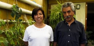 Cooperativa Huitzitzillin, caballito de batalla