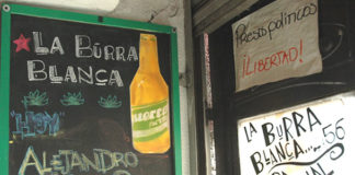 La Burra Blanca del 56, neo pulquería surgida del activismo estudiantil