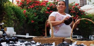 También en Colima se hace economía solidaria