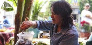 Plantarte: Una sombra que cobija