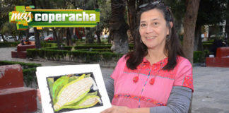 Agricultura campesina y contrapeso de la sociedad civil, necesarios para la soberanía alimentaria: Adelita San Vicente