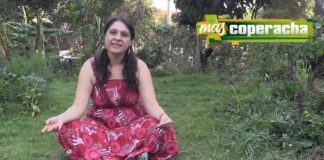 En este 2019, Más dinero comunitario