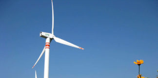 Cancelan megaproyectos eléctricos en Oaxaca y Baja California