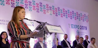 Publica STyFE convocatoria al programa FOCOFESS 2019