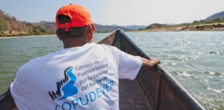 Comunidades de Oaxaca logran amparo que frena hidroeléctrica