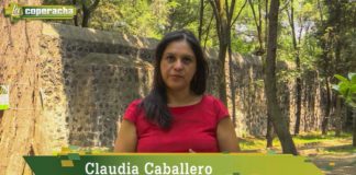 Dos visiones en las que concebimos el dinero