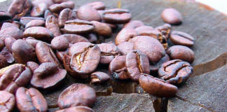 Oxfam apoya proyectos de café de la economía social y solidaria en Oaxaca