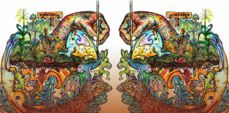 “La comunicación es central para la defensa del territorio”: Érick Huerta