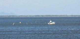 Triángulo de la resistencia, la necesidad de unificar las luchas #radio