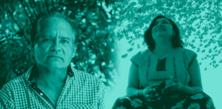 Comitancillo, el pueblo entre flores que derrotó a la fábrica de aspas #radio