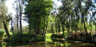 Xochimilco va por su 4to Encuentro Cooperativo