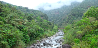 Juez niega amparo de comunidades totonacas contra proyecto hidroeléctrico en Puebla