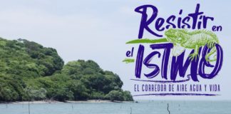 Resistir en el Istmo, un recorrido visual
