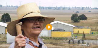 Granja Cocotla presenta nueva sede en Tlaxcala