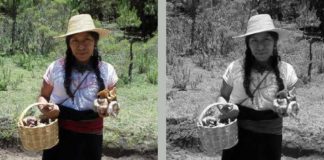 Organizaciones civiles exigen investigar desaparición de Irma Galindo