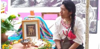 Aparece con vida la ambientalista Irma Galindo