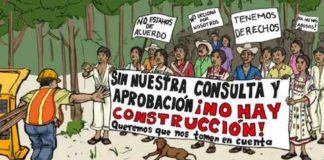 Presentan ante la CIDH, casos de violación a los derechos de los pueblos indígenas