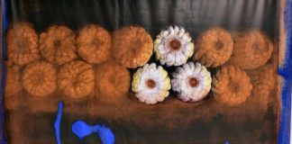 Atacan con bots la propuesta de Ley del Maíz Nativo