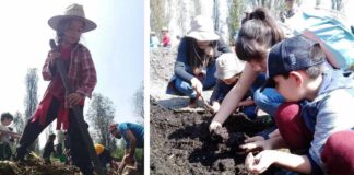 El Mercadito Chinampero va al Café Zapata Vive